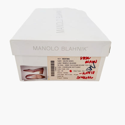 Manolo Blahnik Tucciosam 50mm Pumps in Champagne Notturno Size 40