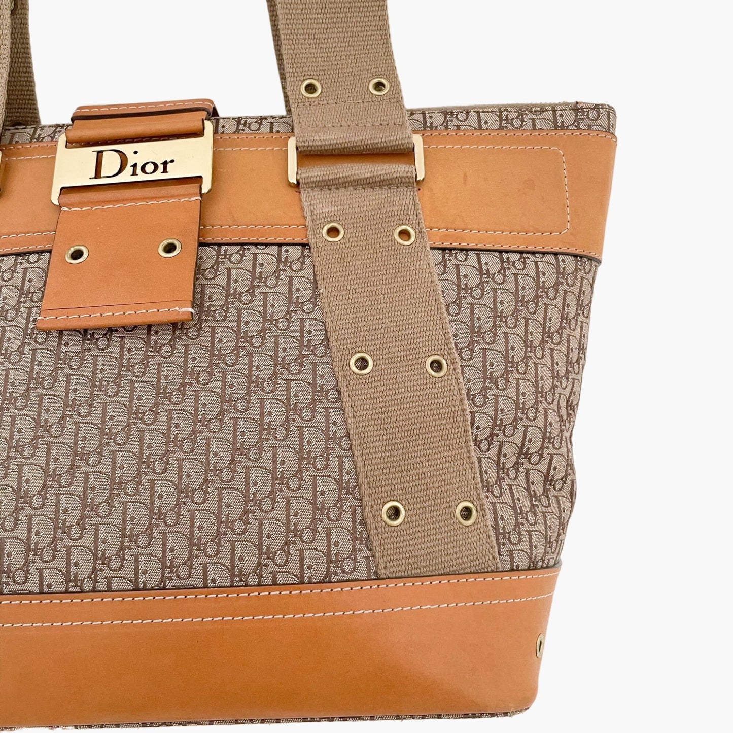 Christian Dior Street Chic Tote in Tan